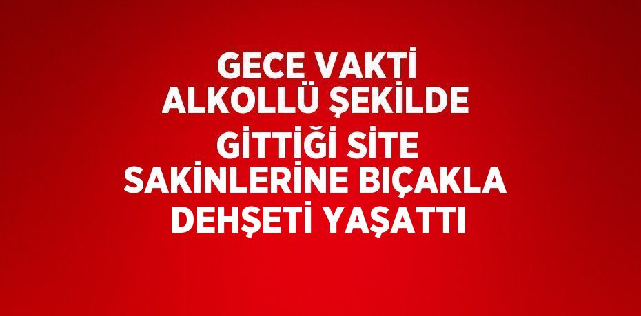 GECE VAKTİ ALKOLLÜ ŞEKİLDE GİTTİĞİ SİTE SAKİNLERİNE BIÇAKLA DEHŞETİ YAŞATTI