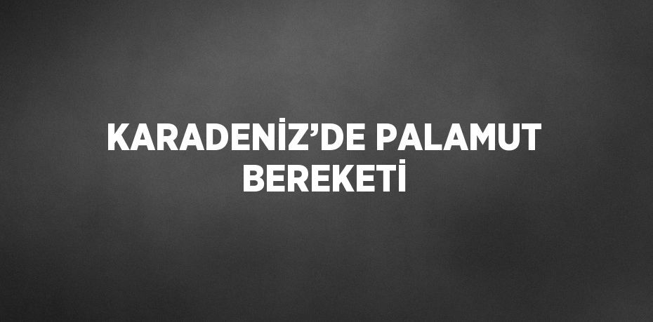 KARADENİZ’DE PALAMUT BEREKETİ