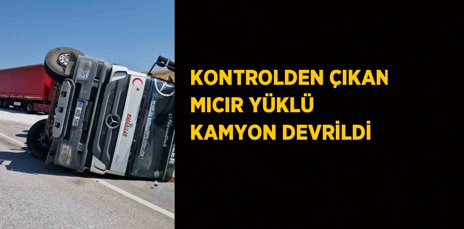 KONTROLDEN ÇIKAN MICIR YÜKLÜ KAMYON DEVRİLDİ