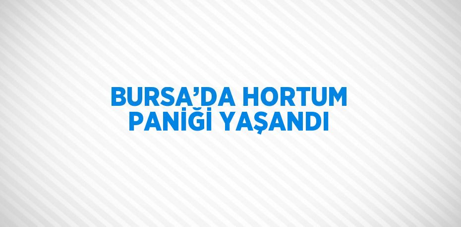 BURSA’DA HORTUM PANİĞİ YAŞANDI