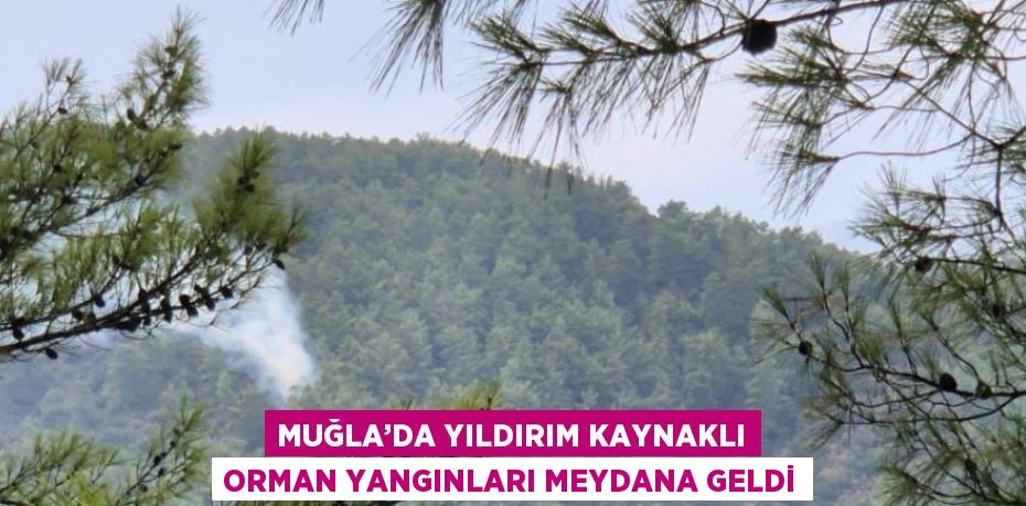 MUĞLA’DA YILDIRIM KAYNAKLI ORMAN YANGINLARI MEYDANA GELDİ