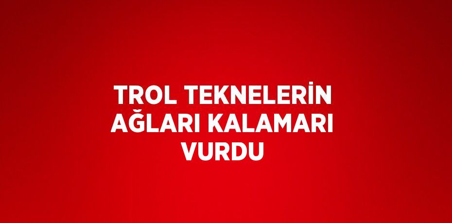 TROL TEKNELERİN AĞLARI KALAMARI VURDU