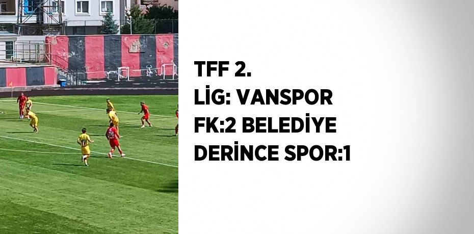 TFF 2. LİG: VANSPOR FK:2 BELEDİYE DERİNCE SPOR:1