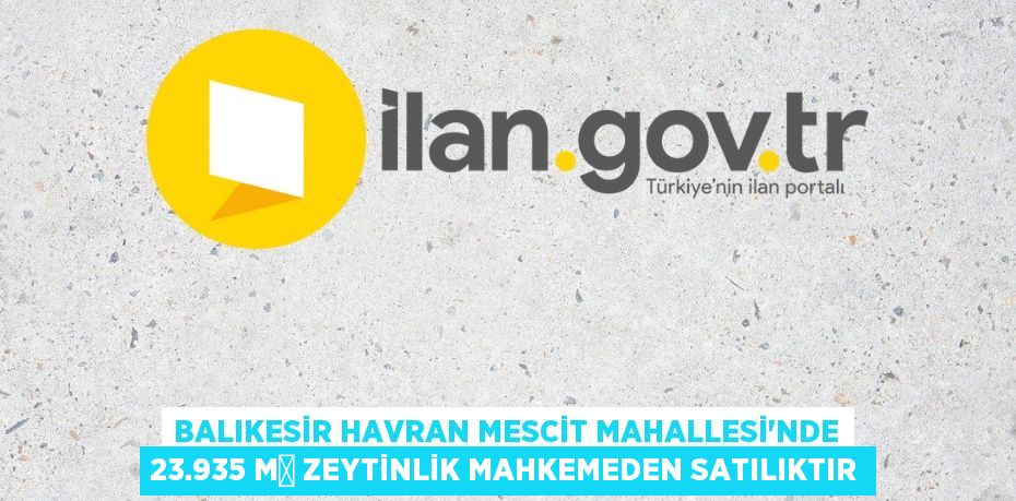 Balıkesir Havran Mescit Mahallesi'nde 23.935 m² zeytinlik mahkemeden satılıktır