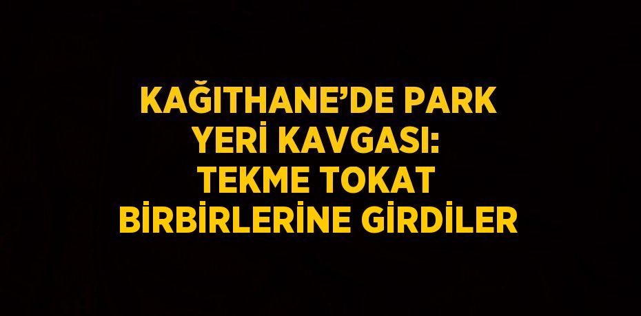 KAĞITHANE’DE PARK YERİ KAVGASI: TEKME TOKAT BİRBİRLERİNE GİRDİLER