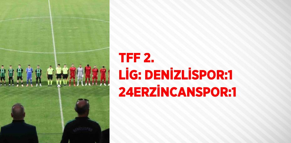 TFF 2. LİG: DENİZLİSPOR:1 24ERZİNCANSPOR:1