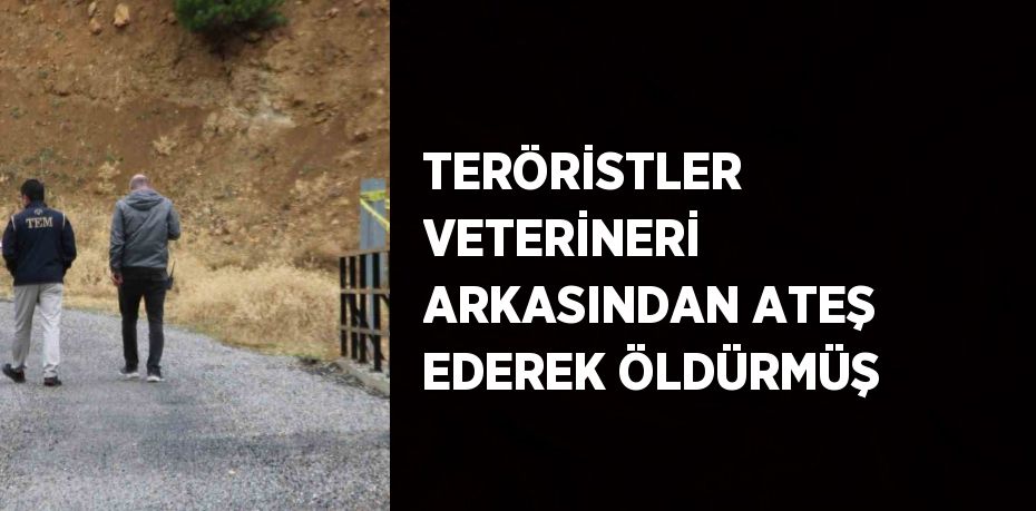 TERÖRİSTLER VETERİNERİ ARKASINDAN ATEŞ EDEREK ÖLDÜRMÜŞ