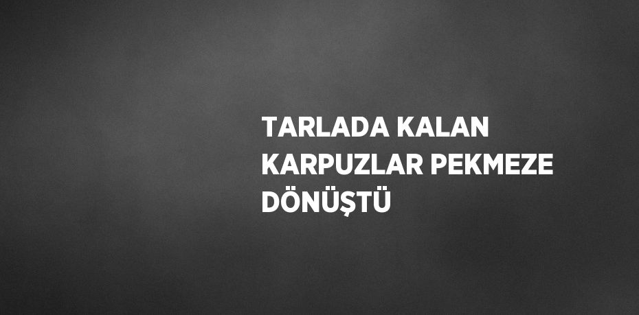 TARLADA KALAN KARPUZLAR PEKMEZE DÖNÜŞTÜ