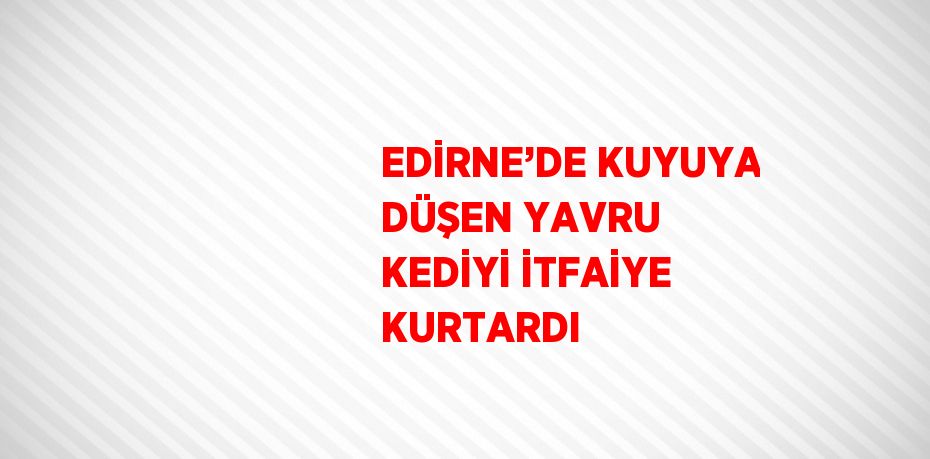 EDİRNE’DE KUYUYA DÜŞEN YAVRU KEDİYİ İTFAİYE KURTARDI