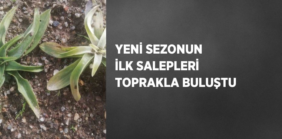 YENİ SEZONUN İLK SALEPLERİ TOPRAKLA BULUŞTU