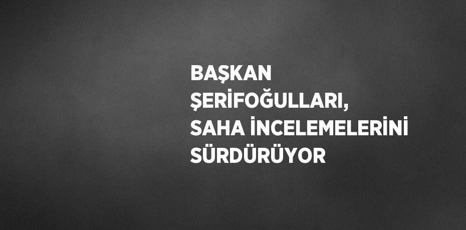 BAŞKAN ŞERİFOĞULLARI, SAHA İNCELEMELERİNİ SÜRDÜRÜYOR