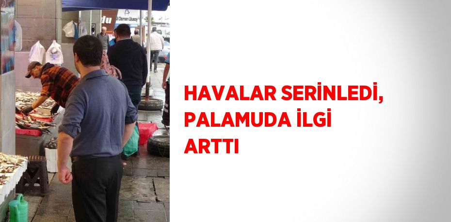 HAVALAR SERİNLEDİ, PALAMUDA İLGİ ARTTI