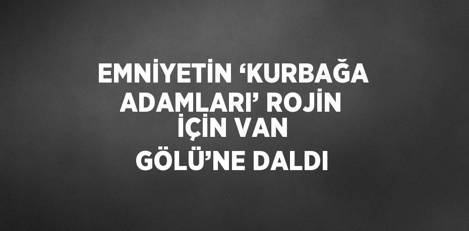 EMNİYETİN ‘KURBAĞA ADAMLARI’ ROJİN İÇİN VAN GÖLÜ’NE DALDI