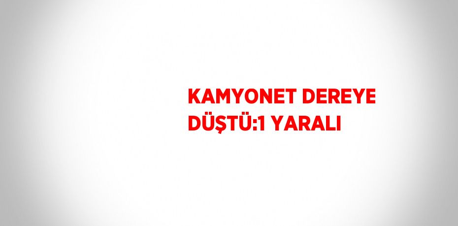 KAMYONET DEREYE DÜŞTÜ:1 YARALI