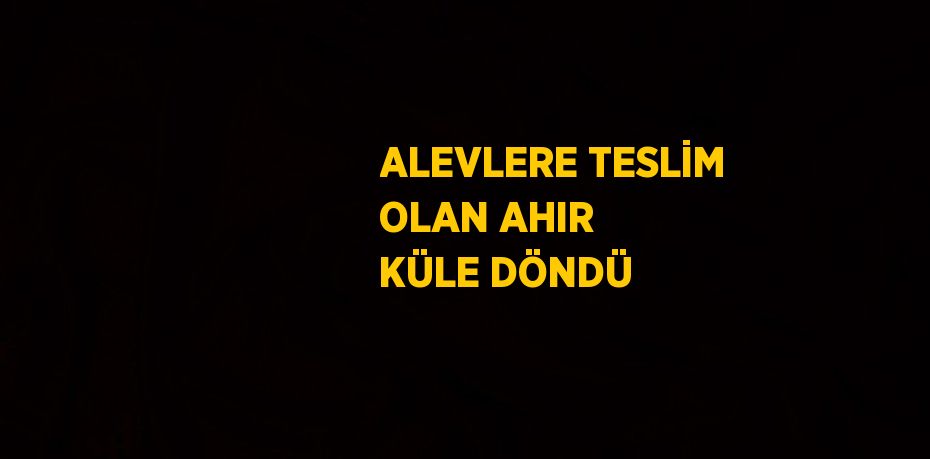 ALEVLERE TESLİM OLAN AHIR KÜLE DÖNDÜ