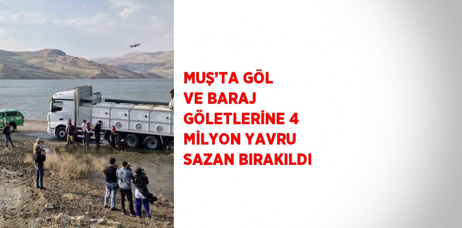 MUŞ’TA GÖL VE BARAJ GÖLETLERİNE 4 MİLYON YAVRU SAZAN BIRAKILDI