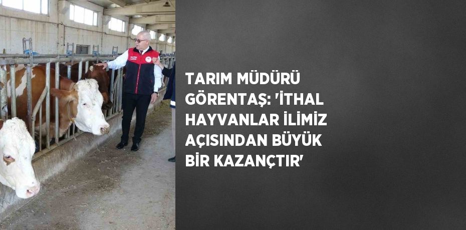 TARIM MÜDÜRÜ GÖRENTAŞ: 'İTHAL HAYVANLAR İLİMİZ AÇISINDAN BÜYÜK BİR KAZANÇTIR'