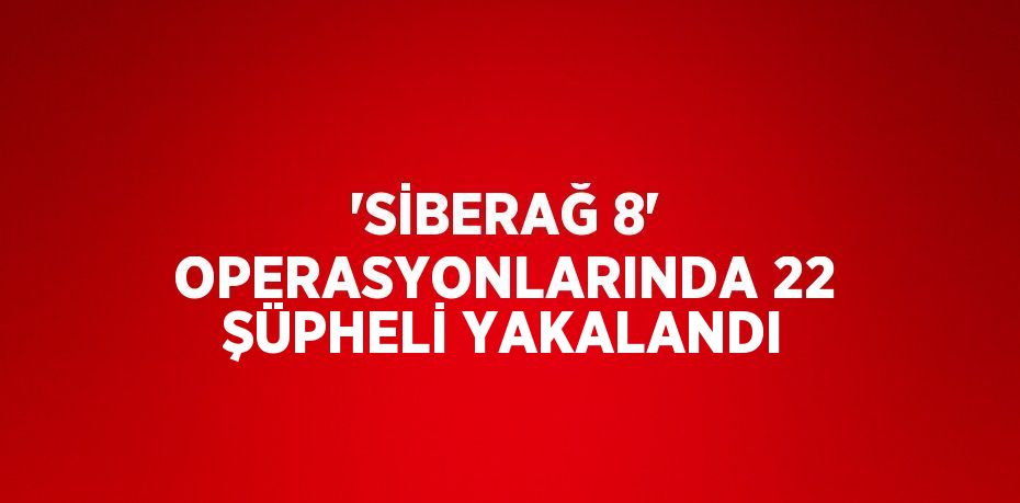 'SİBERAĞ 8' OPERASYONLARINDA 22 ŞÜPHELİ YAKALANDI