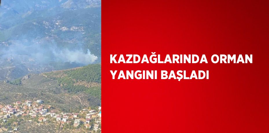 KAZDAĞLARINDA ORMAN YANGINI BAŞLADI