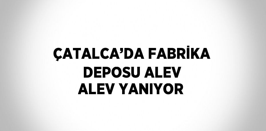 ÇATALCA’DA FABRİKA DEPOSU ALEV ALEV YANIYOR