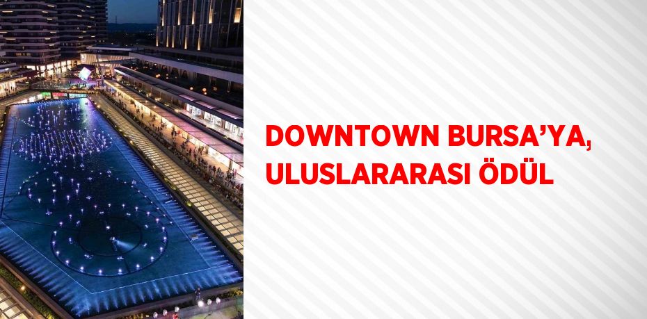 DOWNTOWN BURSA’YA, ULUSLARARASI ÖDÜL