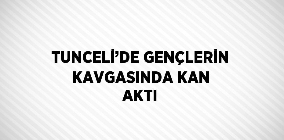 TUNCELİ’DE GENÇLERİN KAVGASINDA KAN AKTI