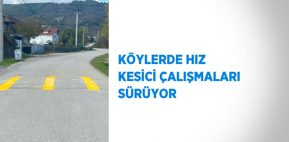 KÖYLERDE HIZ KESİCİ ÇALIŞMALARI SÜRÜYOR