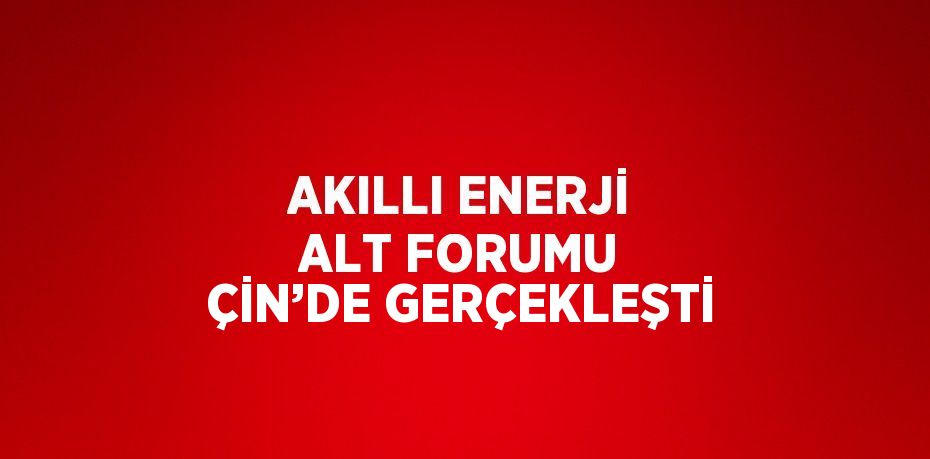 AKILLI ENERJİ ALT FORUMU ÇİN’DE GERÇEKLEŞTİ