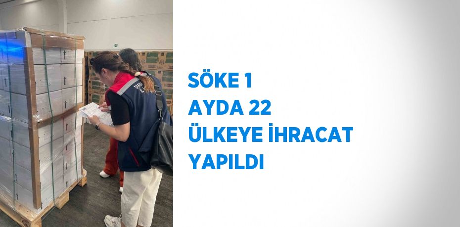 SÖKE 1 AYDA 22 ÜLKEYE İHRACAT YAPILDI