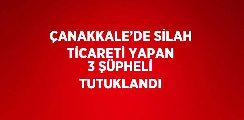 ÇANAKKALE’DE SİLAH TİCARETİ YAPAN 3 ŞÜPHELİ TUTUKLANDI