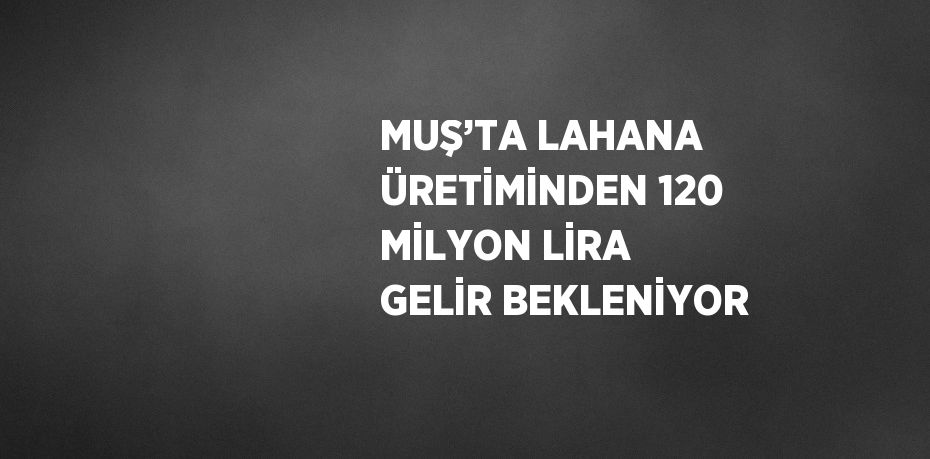 MUŞ’TA LAHANA ÜRETİMİNDEN 120 MİLYON LİRA GELİR BEKLENİYOR