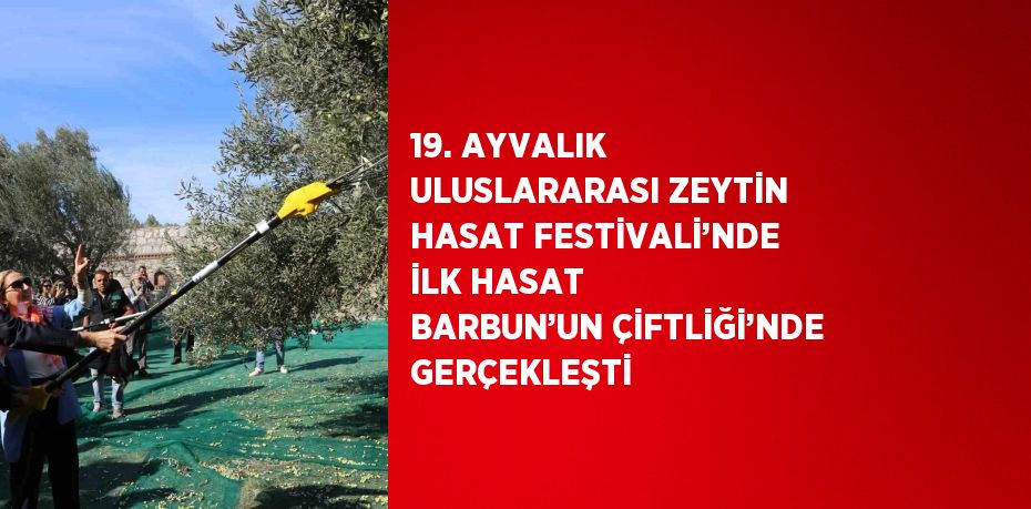 19. AYVALIK ULUSLARARASI ZEYTİN HASAT FESTİVALİ’NDE İLK HASAT BARBUN’UN ÇİFTLİĞİ’NDE GERÇEKLEŞTİ