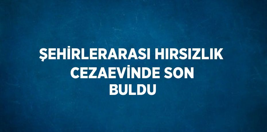 ŞEHİRLERARASI HIRSIZLIK CEZAEVİNDE SON BULDU