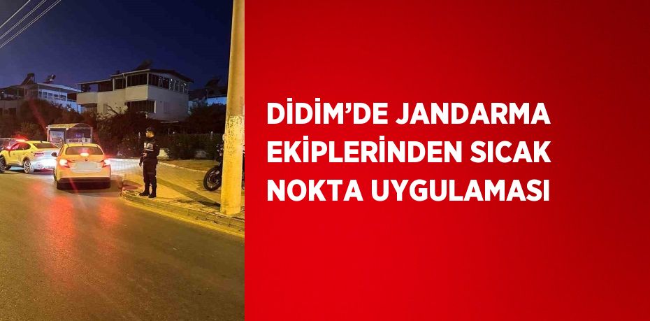 DİDİM’DE JANDARMA EKİPLERİNDEN SICAK NOKTA UYGULAMASI