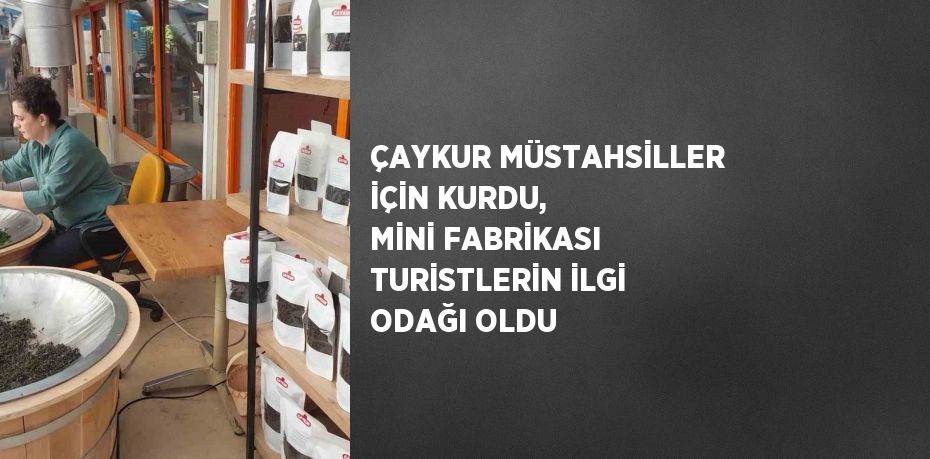 ÇAYKUR MÜSTAHSİLLER İÇİN KURDU, MİNİ FABRİKASI TURİSTLERİN İLGİ ODAĞI OLDU