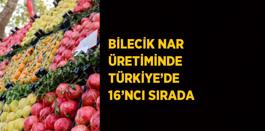 BİLECİK NAR ÜRETİMİNDE TÜRKİYE’DE 16’NCI SIRADA