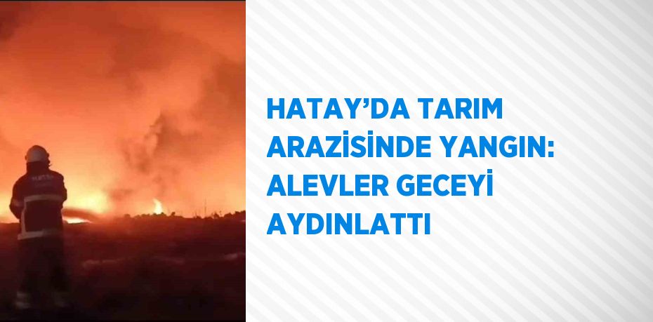 HATAY’DA TARIM ARAZİSİNDE YANGIN: ALEVLER GECEYİ AYDINLATTI