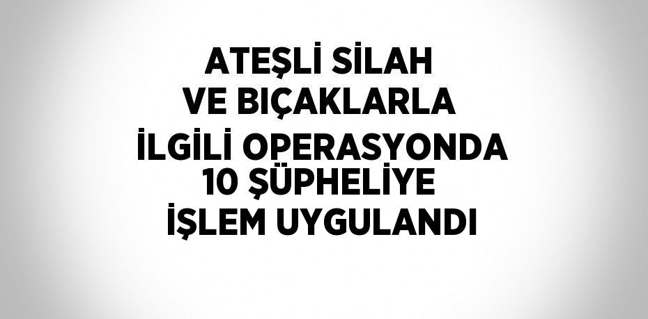 ATEŞLİ SİLAH VE BIÇAKLARLA İLGİLİ OPERASYONDA 10 ŞÜPHELİYE İŞLEM UYGULANDI