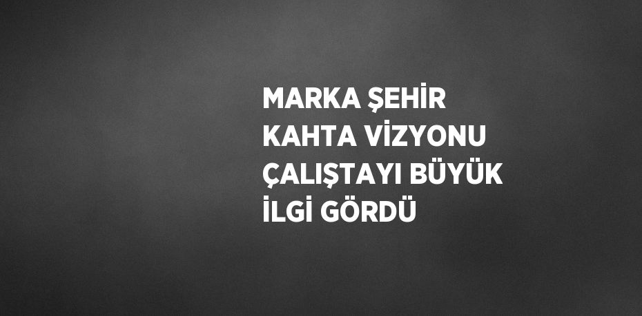 MARKA ŞEHİR KAHTA VİZYONU ÇALIŞTAYI BÜYÜK İLGİ GÖRDÜ