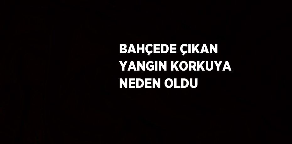 BAHÇEDE ÇIKAN YANGIN KORKUYA NEDEN OLDU