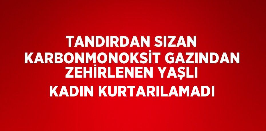 TANDIRDAN SIZAN KARBONMONOKSİT GAZINDAN ZEHİRLENEN YAŞLI KADIN KURTARILAMADI