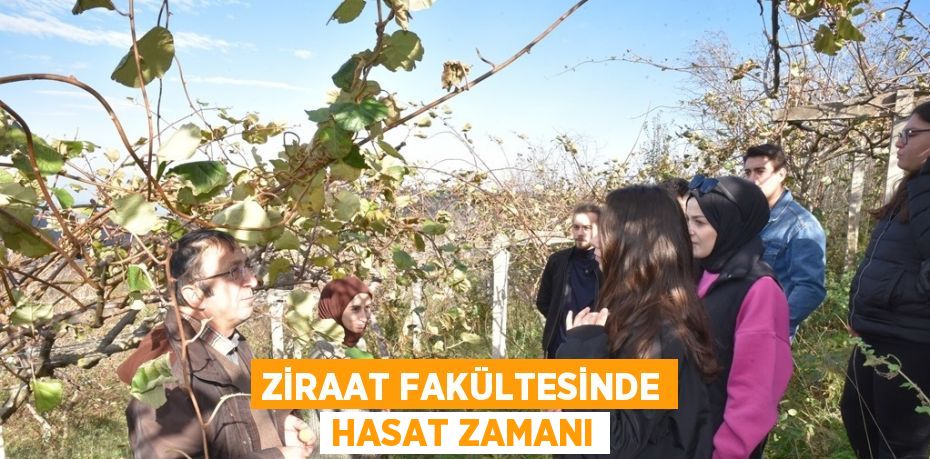 ZİRAAT FAKÜLTESİNDE HASAT ZAMANI