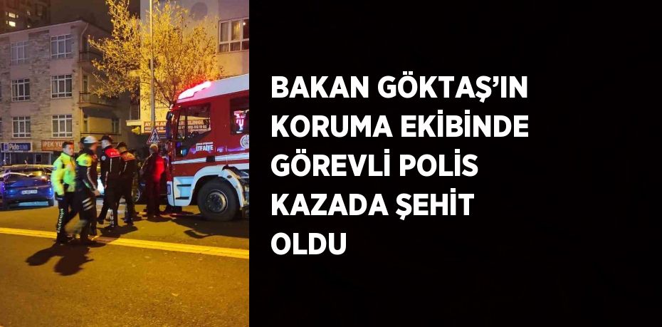 BAKAN GÖKTAŞ’IN KORUMA EKİBİNDE GÖREVLİ POLİS KAZADA ŞEHİT OLDU