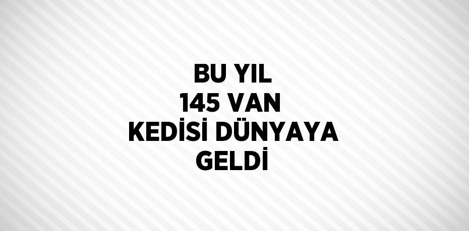 BU YIL 145 VAN KEDİSİ DÜNYAYA GELDİ