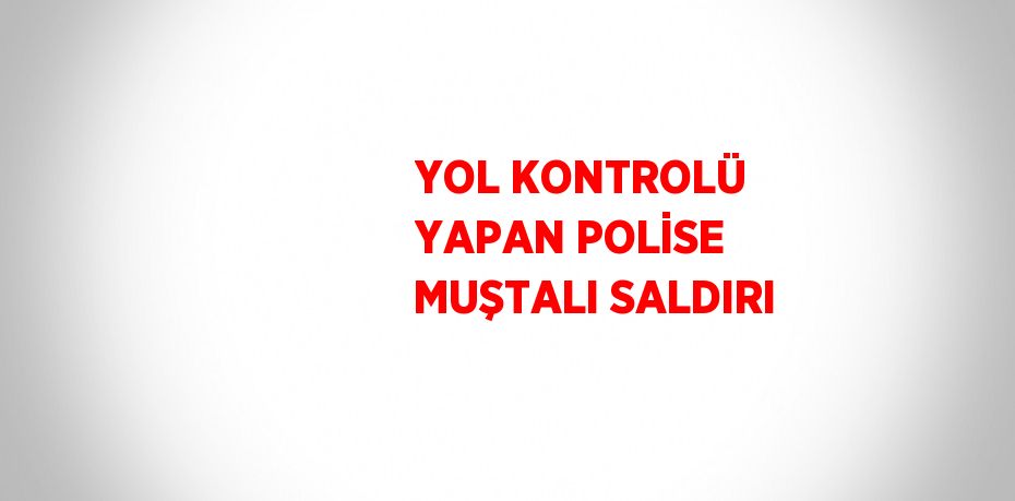 YOL KONTROLÜ YAPAN POLİSE MUŞTALI SALDIRI