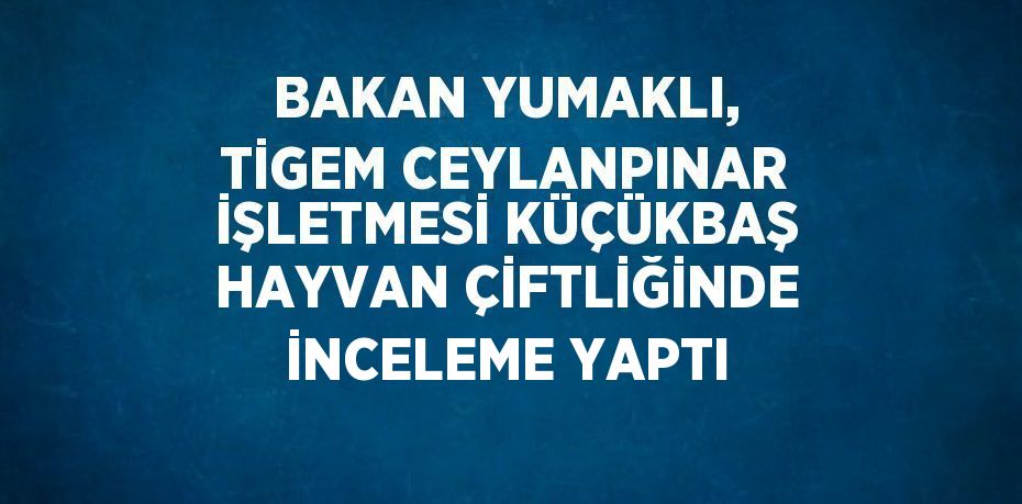 BAKAN YUMAKLI, TİGEM CEYLANPINAR İŞLETMESİ KÜÇÜKBAŞ HAYVAN ÇİFTLİĞİNDE İNCELEME YAPTI