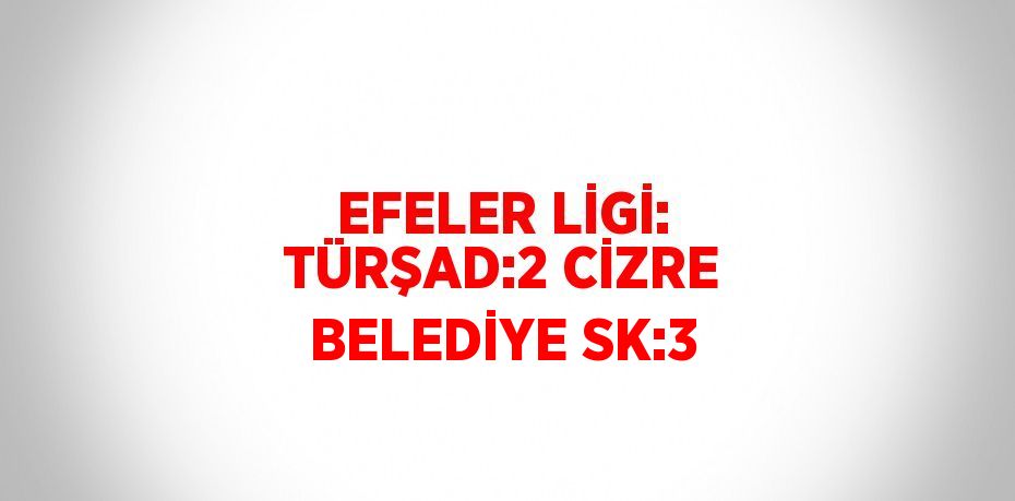 EFELER LİGİ: TÜRŞAD:2 CİZRE BELEDİYE SK:3