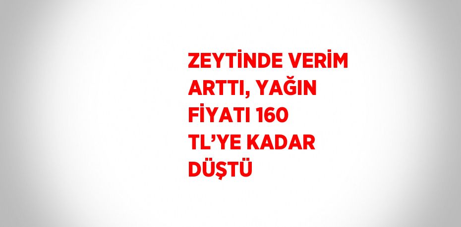 ZEYTİNDE VERİM ARTTI, YAĞIN FİYATI 160 TL’YE KADAR DÜŞTÜ