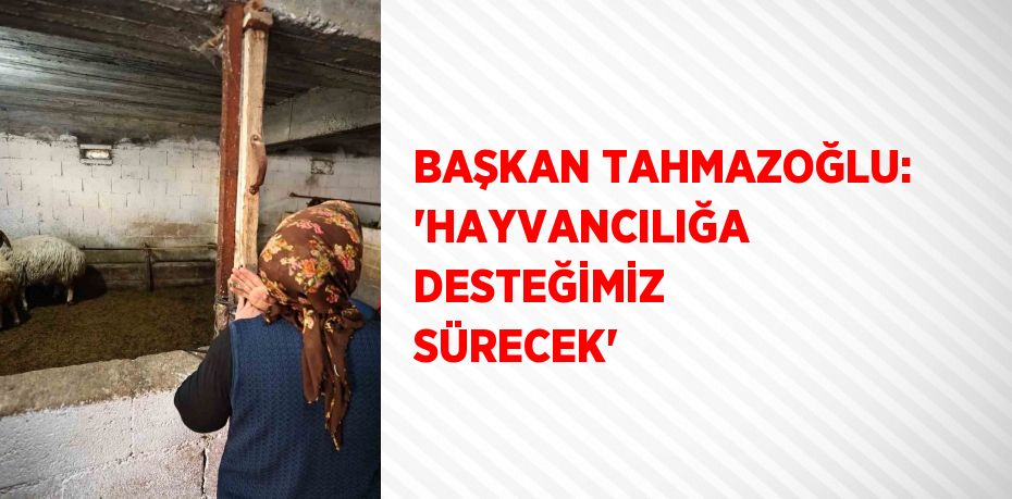 BAŞKAN TAHMAZOĞLU: 'HAYVANCILIĞA DESTEĞİMİZ SÜRECEK'