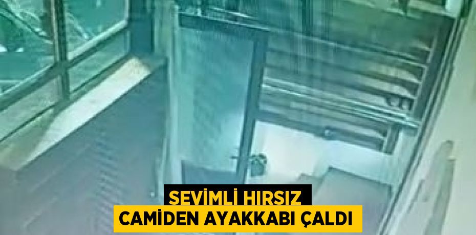 SEVİMLİ HIRSIZ CAMİDEN AYAKKABI ÇALDI